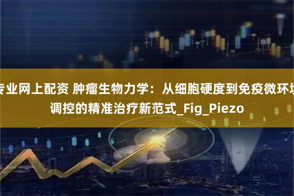 专业网上配资 肿瘤生物力学：从细胞硬度到免疫微环境调控的精准治疗新范式_Fig_Piezo